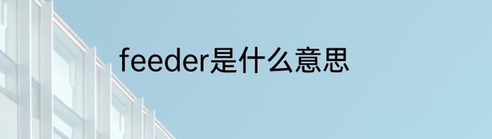 feeder是什么意思