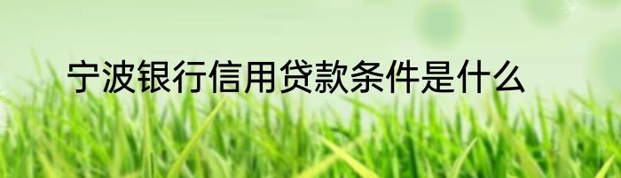 宁波银行信用贷款条件是什么