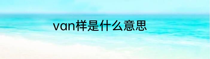 van样是什么意思