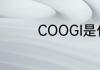 COOGI是什么牌子的衣服