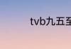 tvb九五至尊电视剧简介