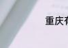 重庆有哪九大区
