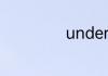 understand意思