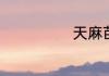 天麻苗长什么样
