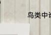 鸟类中谁的尾巴最长