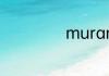 murano是哪款车