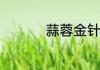 蒜蓉金针菇的家常做法