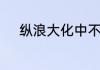 纵浪大化中不喜亦不惧什么意思