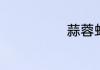 蒜蓉虾尾的做法