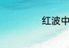 红波中是什么生肖