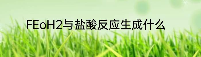 FEoH2与盐酸反应生成什么