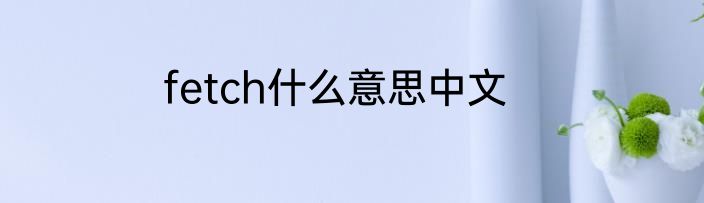 fetch什么意思中文