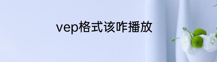 vep格式该咋播放