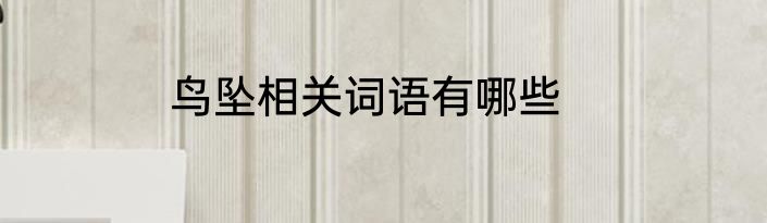 鸟坠相关词语有哪些
