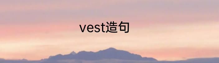 vest造句