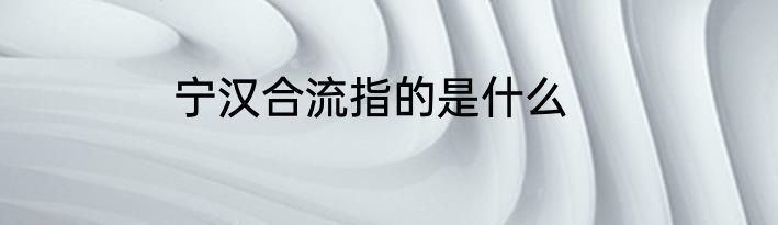 宁汉合流指的是什么