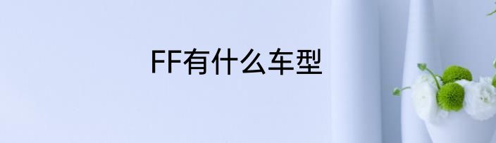 FF有什么车型