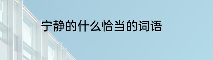 宁静的什么恰当的词语