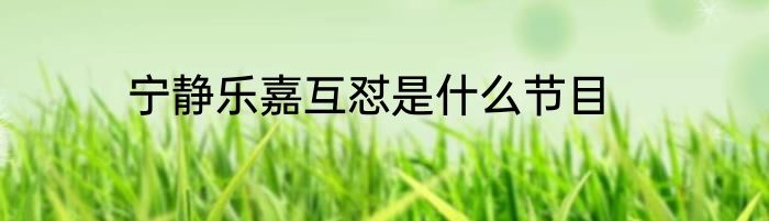 宁静乐嘉互怼是什么节目