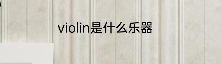 violin是什么乐器