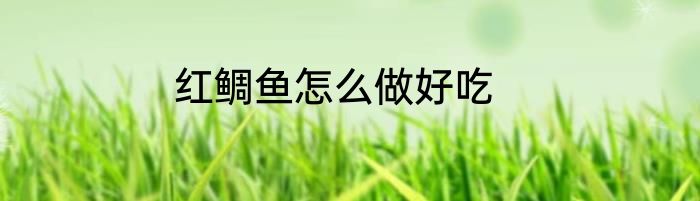 红鲷鱼怎么做好吃