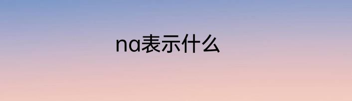 na表示什么