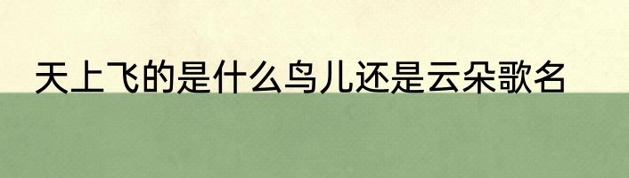 天上飞的是什么鸟儿还是云朵歌名