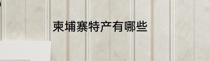 柬埔寨特产有哪些
