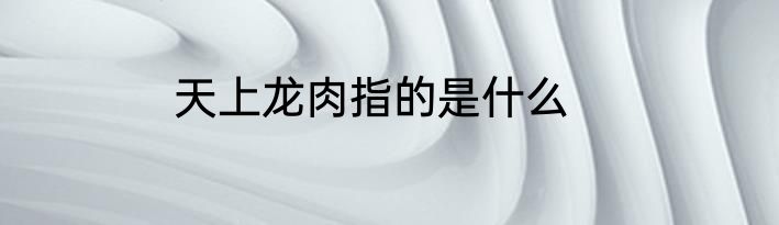 天上龙肉指的是什么