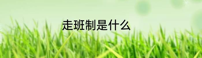 走班制是什么