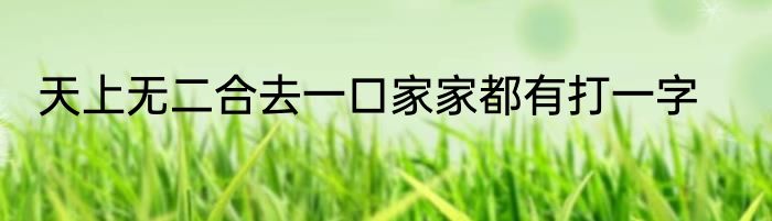 天上无二合去一口家家都有打一字