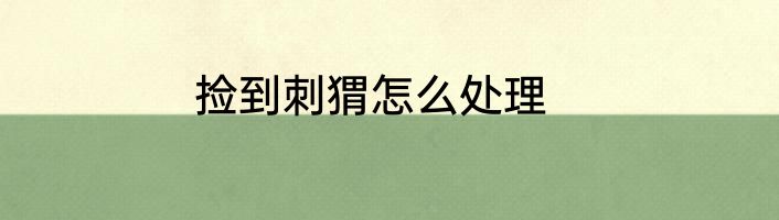 捡到刺猬怎么处理