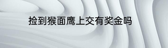捡到猴面鹰上交有奖金吗