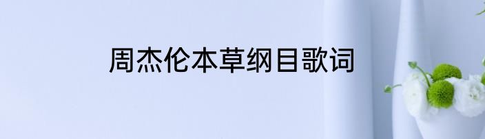 周杰伦本草纲目歌词