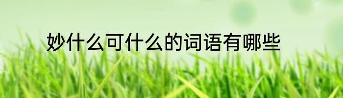 妙什么可什么的词语有哪些