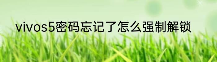 vivos5密码忘记了怎么强制解锁