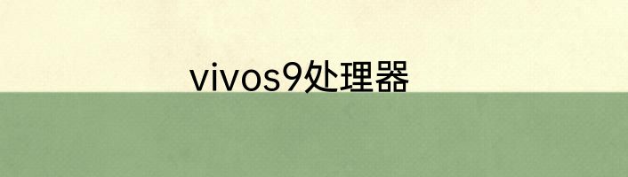 vivos9处理器