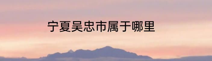 宁夏吴忠市属于哪里