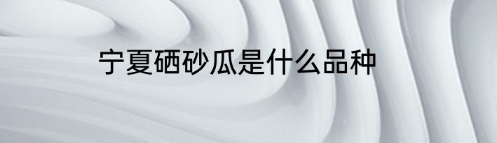 宁夏硒砂瓜是什么品种