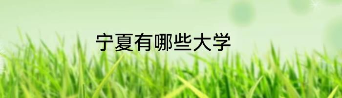 宁夏有哪些大学