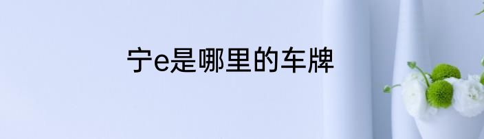 宁e是哪里的车牌