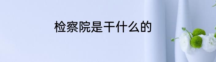 检察院是干什么的