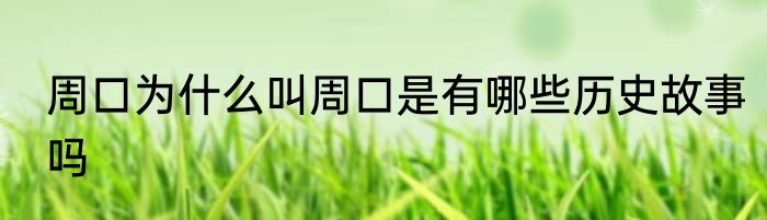 周口为什么叫周口是有哪些历史故事吗