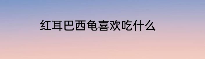 红耳巴西龟喜欢吃什么