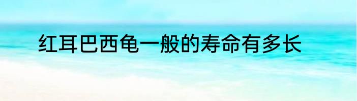 红耳巴西龟一般的寿命有多长