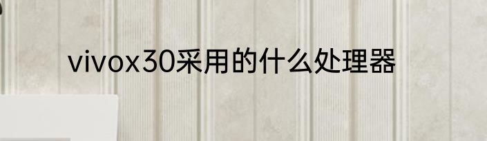 vivox30采用的什么处理器
