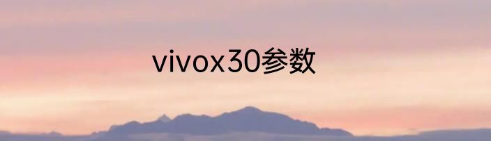 vivox30参数