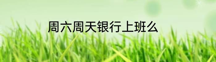 周六周天银行上班么