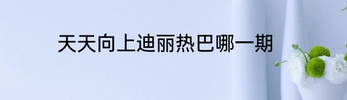 天天向上迪丽热巴哪一期