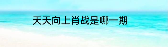 天天向上肖战是哪一期